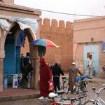 IMG_1552