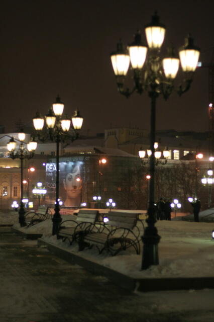 IMG_5645