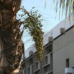 IMG_1212