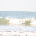 IMG_1227