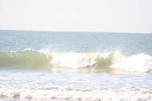 IMG_1227
