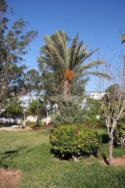 IMG_1238