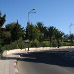 IMG_1239