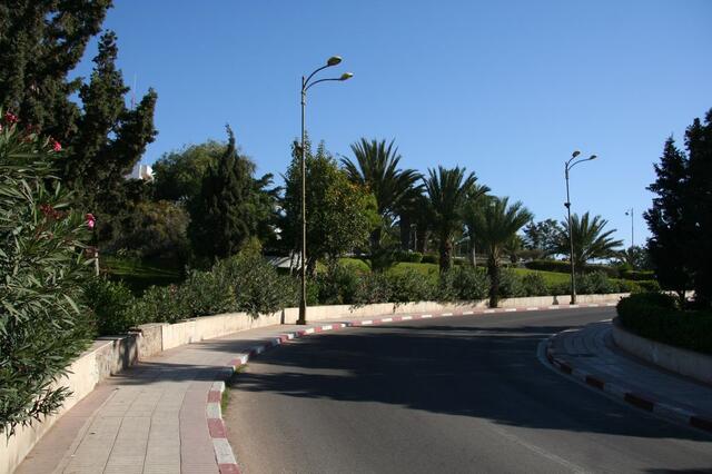 IMG_1239