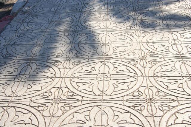 IMG_1246