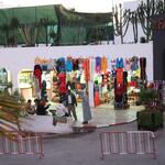 IMG_1513