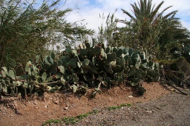 IMG_1537