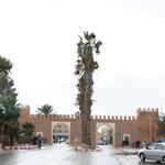 IMG_1572