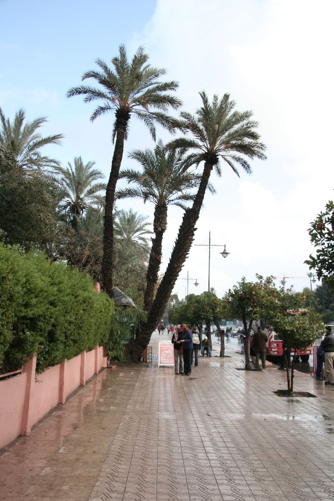 IMG_1734