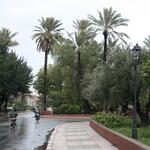 IMG_1742