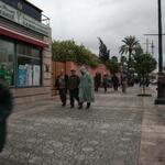 IMG_1749