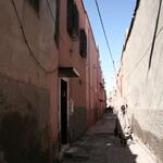 IMG_1792