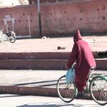 IMG_1798