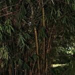 IMG_1856