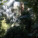 IMG_1859