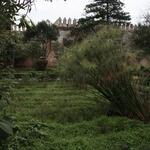 IMG_2536