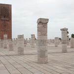 IMG_2586