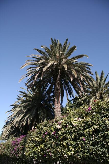 IMG_2761