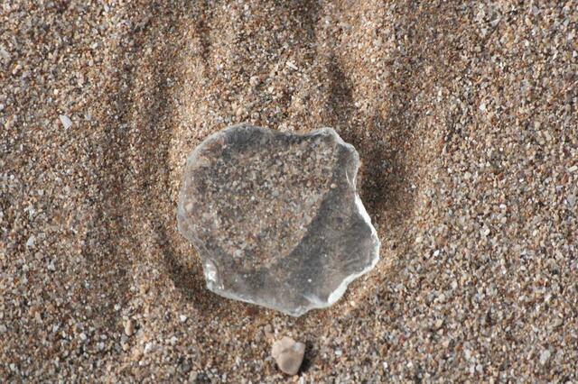 IMG_2791