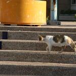 IMG_1205