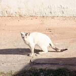 IMG_1440