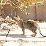 IMG_1463