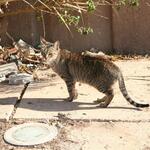 IMG_1464
