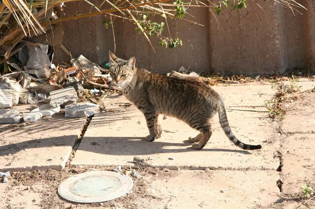 IMG_1464