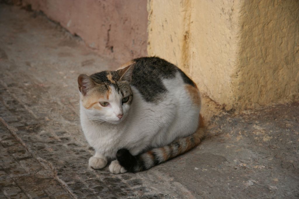 IMG_1565