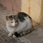 IMG_1565