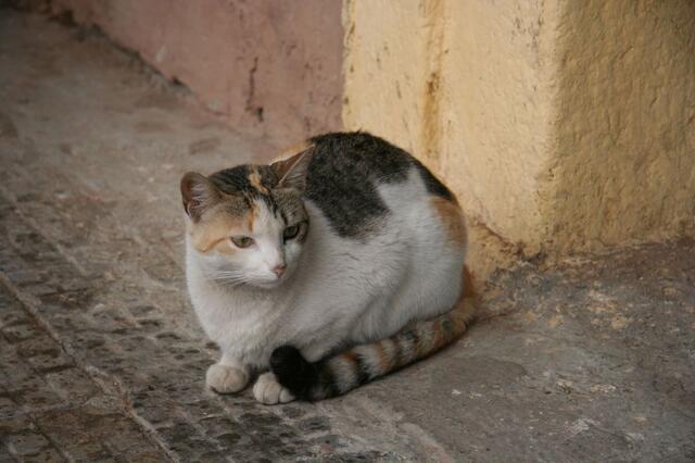IMG_1565
