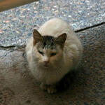 IMG_1606