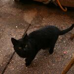 IMG_1609