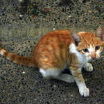 IMG_1614