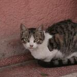 IMG_1688
