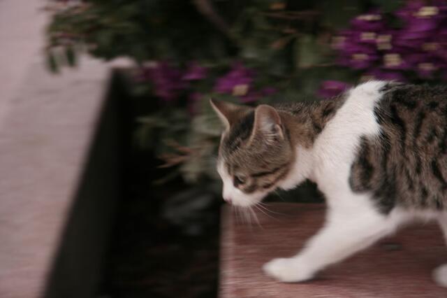 IMG_1689
