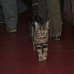IMG_1892