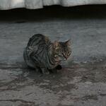 IMG_2176