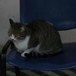 IMG_2219