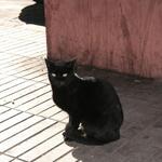 IMG_2266