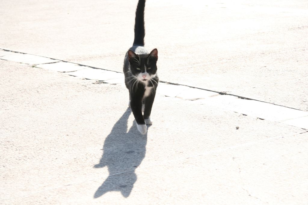IMG_2773
