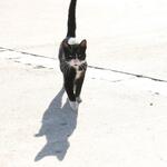 IMG_2773