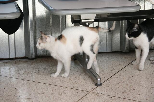 IMG_2812