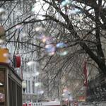 IMG_5926