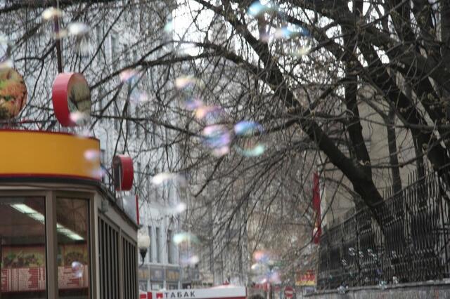 IMG_5926