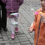 IMG_5950