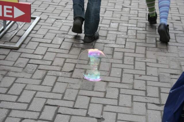 IMG_5952