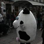 IMG_5969