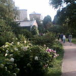 ____010