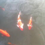 ____014